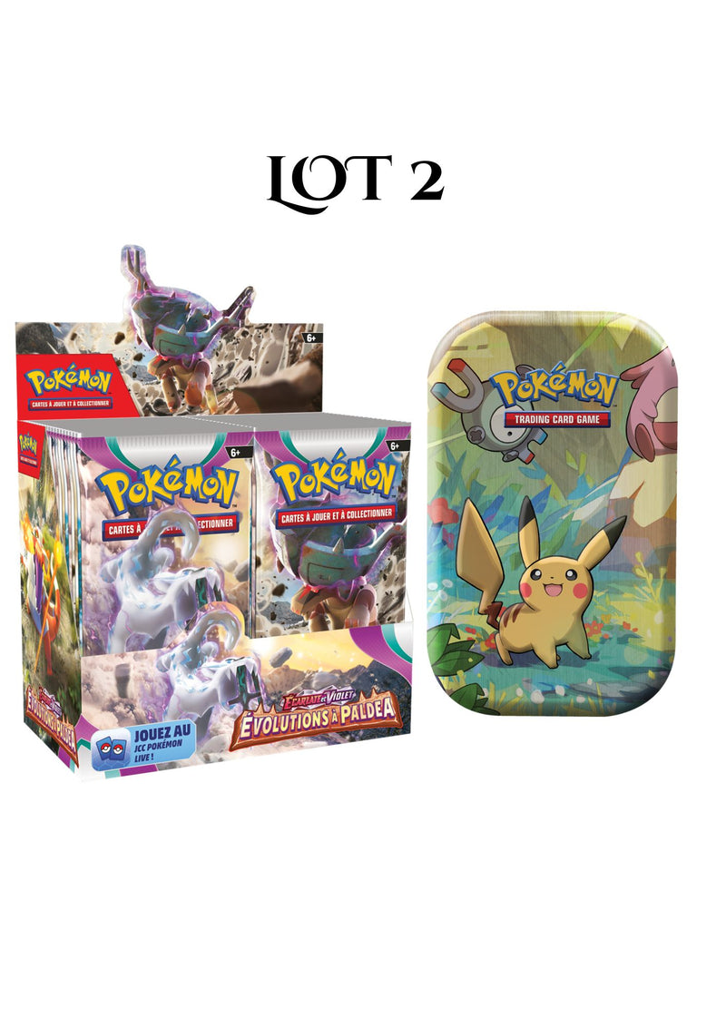 LOT 2 : DISPLAY EV02 + MINI TIN MAI 2019 (modèle aléatoire)