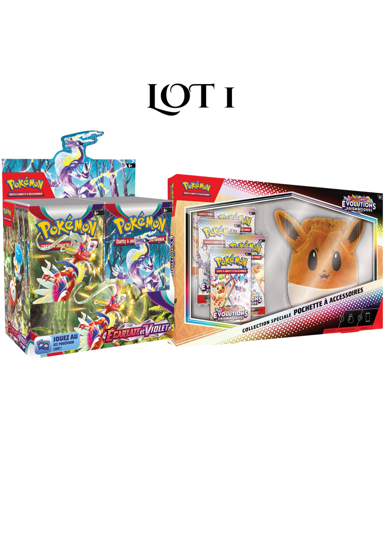 LOT 1 : DISPLAY EV01 + COFFRET POCHETTE EV08.5