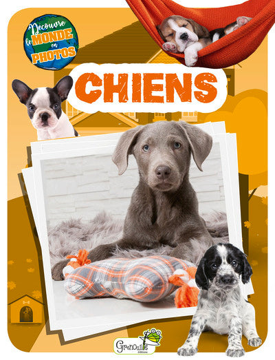 Chiens