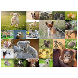 Puzzle pour enfants - 200 p XXL - Adorables bébés animaux