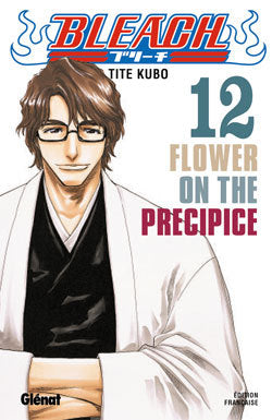 Bleach - Tome 12