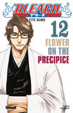 Bleach - Tome 12