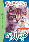 Bienvenue au refuge 01 - Chaton en danger