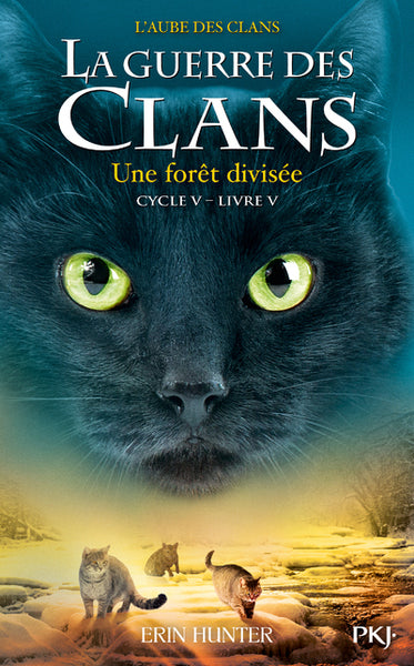 La guerre des Clans - Cycle V L'aube des clans - tome 5 Une forêt divisée