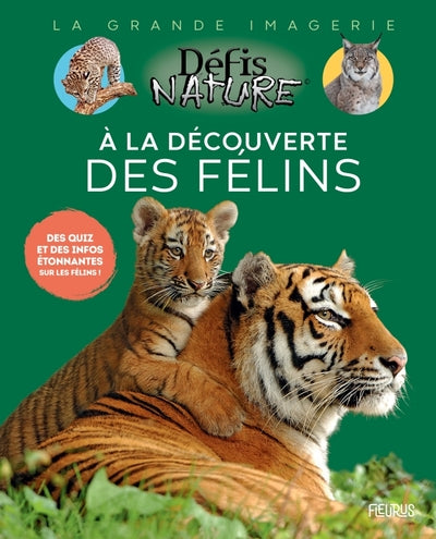 À la découverte des félins