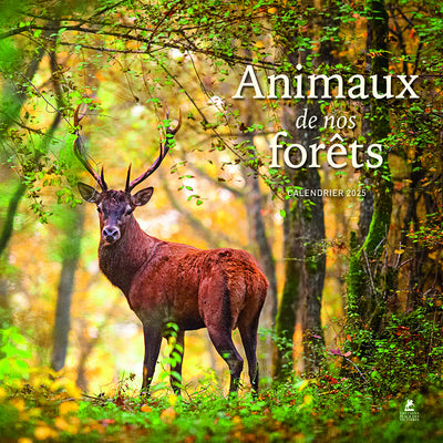 Animaux de nos forêts - Calendrier 2025