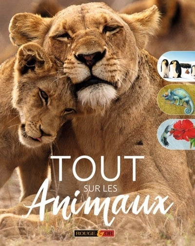 Tout sur les animaux