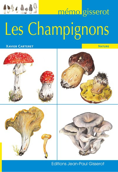 Mémo - Les champignons